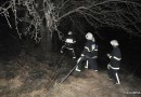 Travniški požar v Lokovini – 2.3.2012