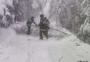 Februarsko vreme gasilcem povzročilo veliko dela in preglavic
